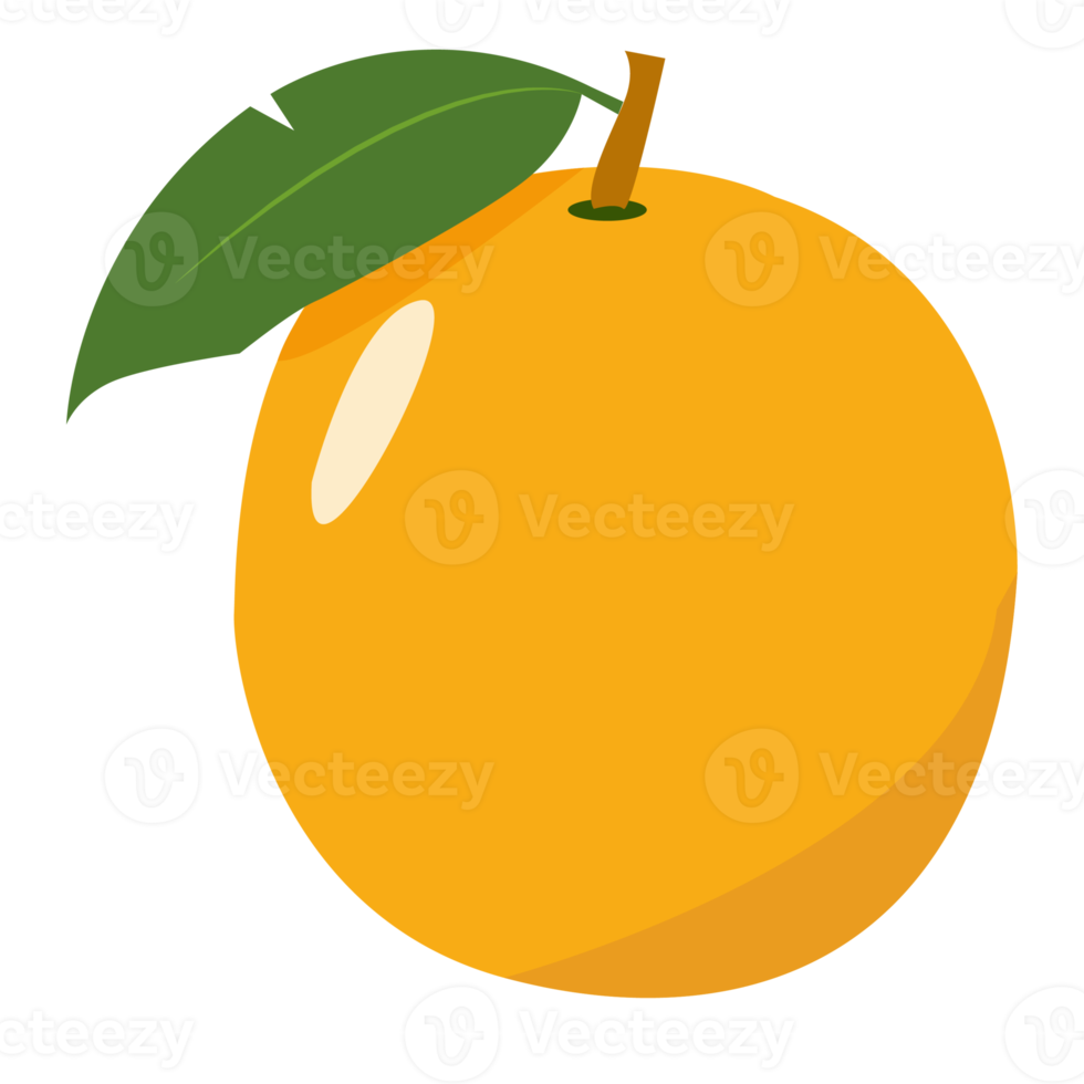 orange png transparent