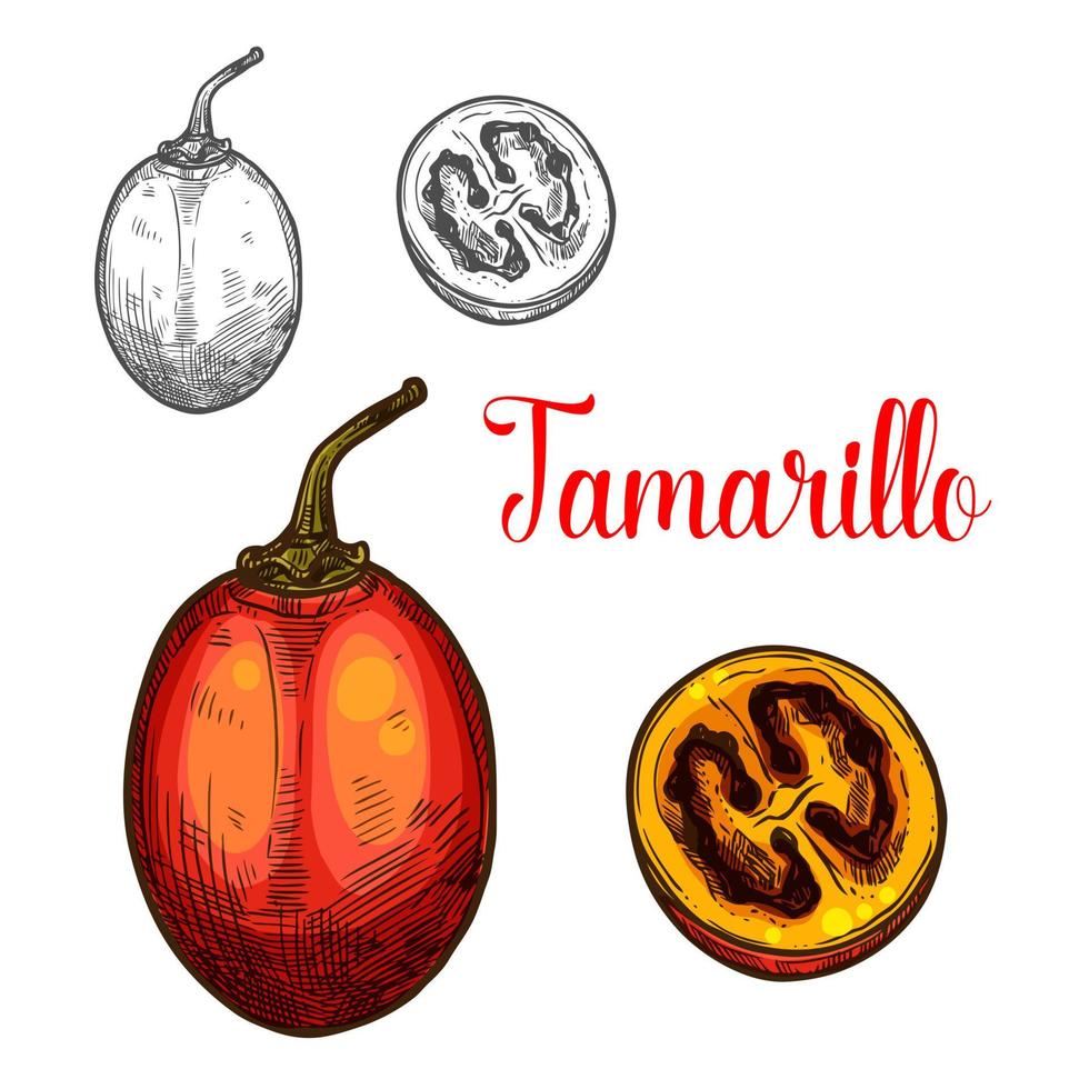 icono de corte de fruta de dibujo vectorial de tamarillo vector