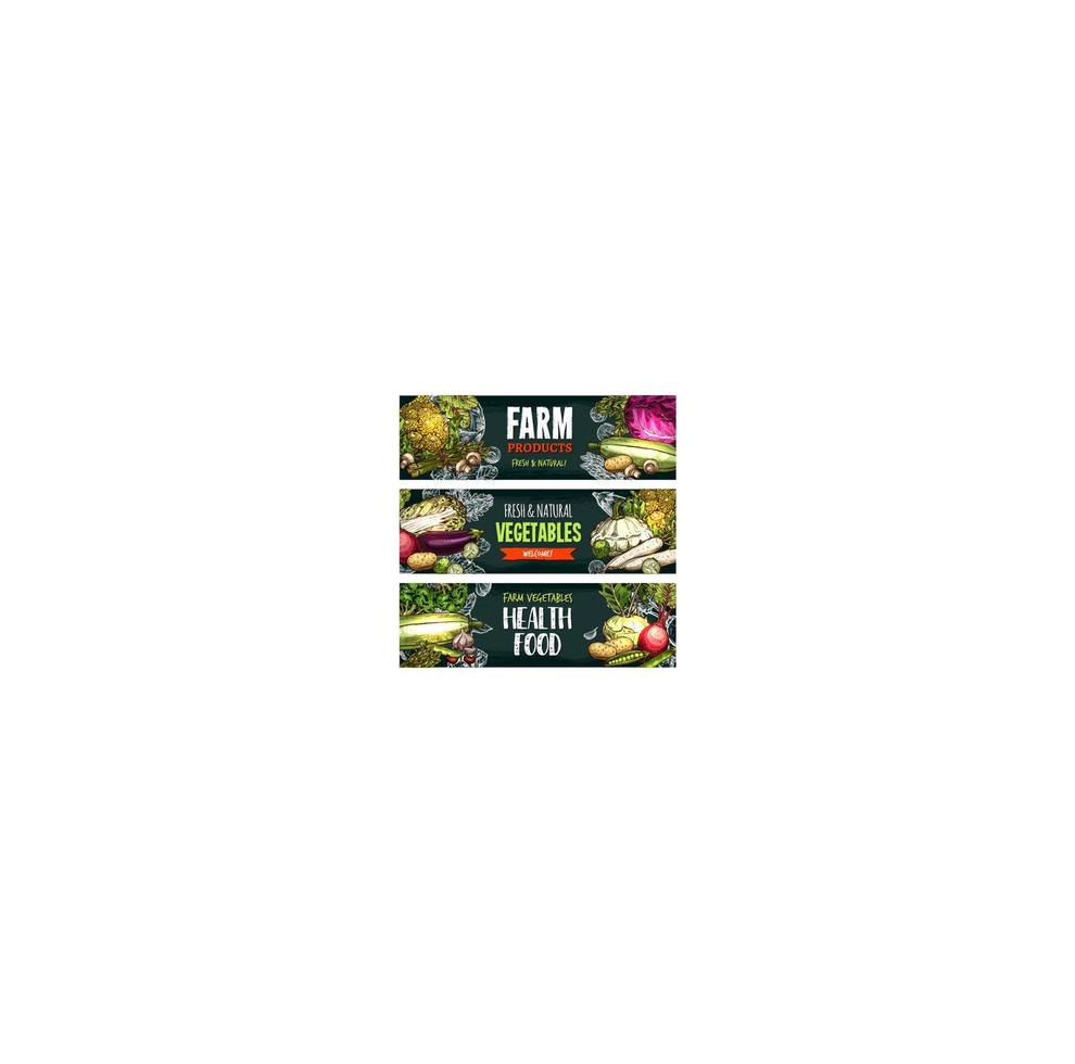 Vector fresh organic vegetables sketch banners