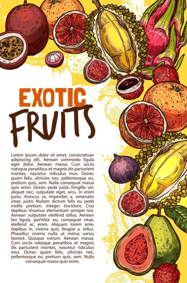 Vector fruit shop sketch poster of exotic fruits