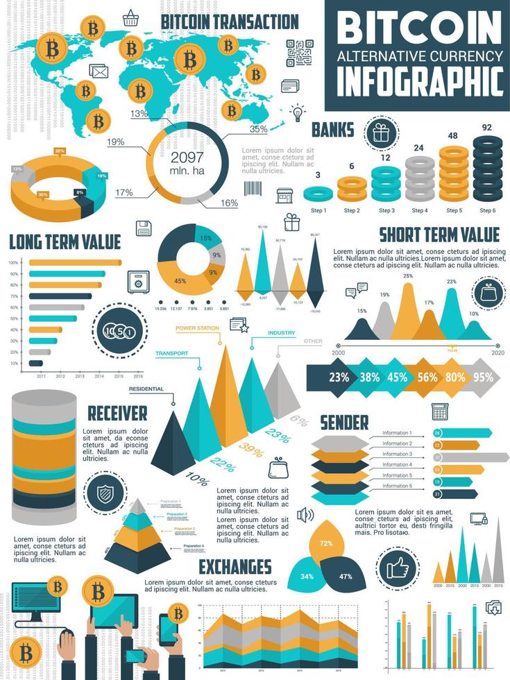 Bitcoin cryptocurrency infographic of crypto money vector