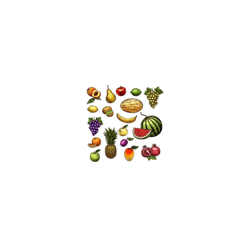 iconos de vector de bosquejo orgánico fresco natural de frutas