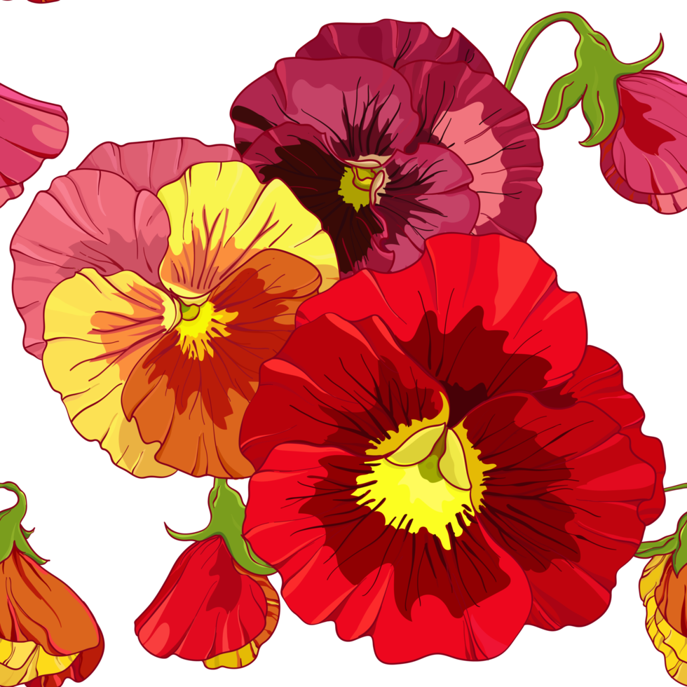 Bright red and orange flowers of pansy . Seamless pattern. Hand drawing  illustration. png