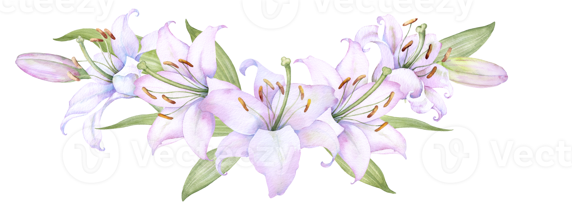 Bouquet white lilies, pink lilies, flowers and buds watercolor flower arrangement png