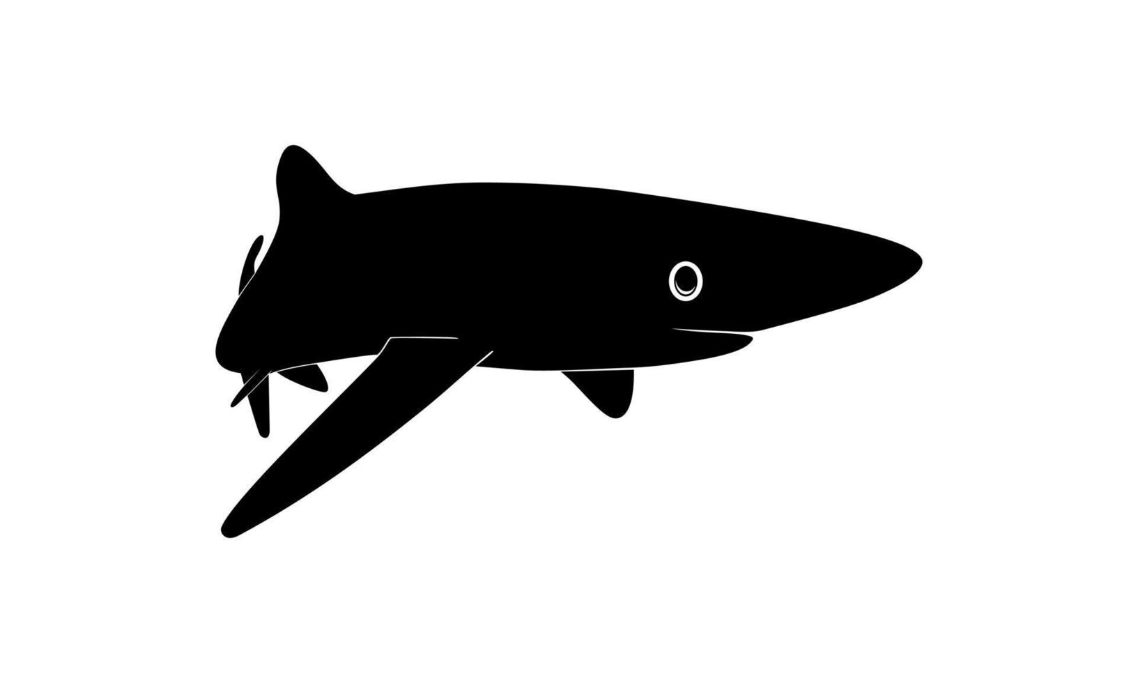 Shark Silhouette for Logo, Pictogram, Website, Art Illustration, Infographic, or Graphic Design Element. Vector Illustration