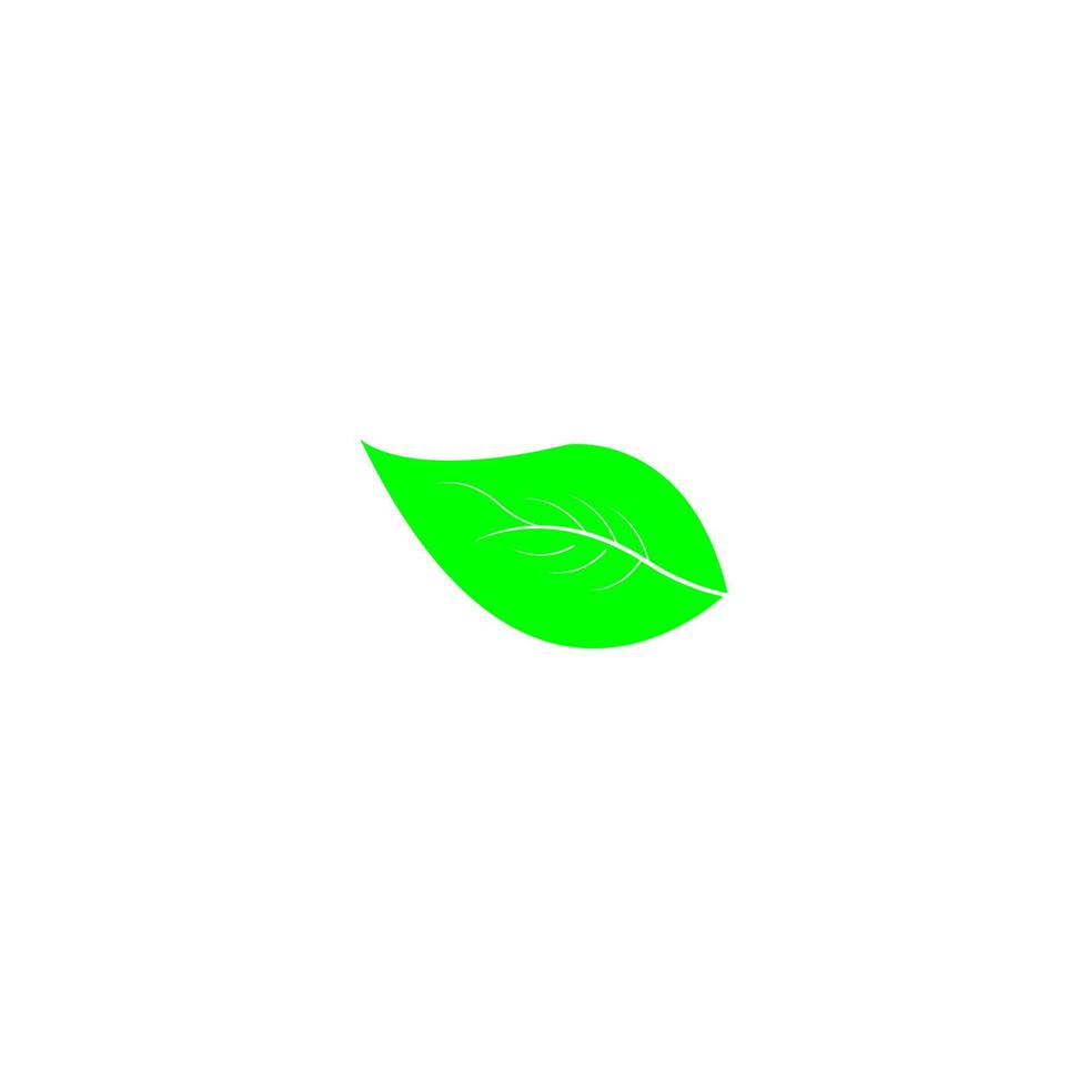 green leaf icon image illustration vector design natural