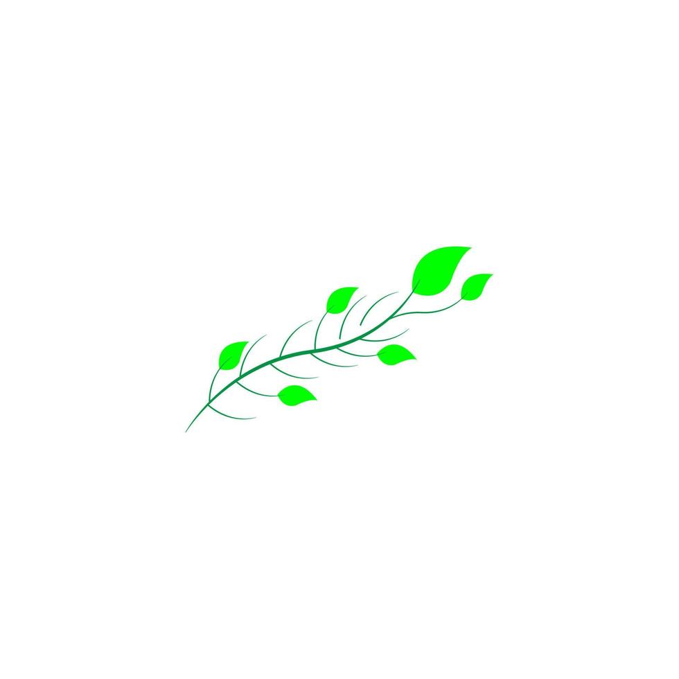 green leaf icon image illustration vector design natural