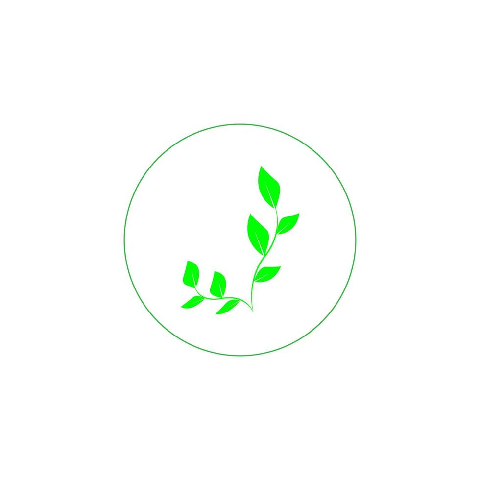 green leaf icon image illustration vector design natural