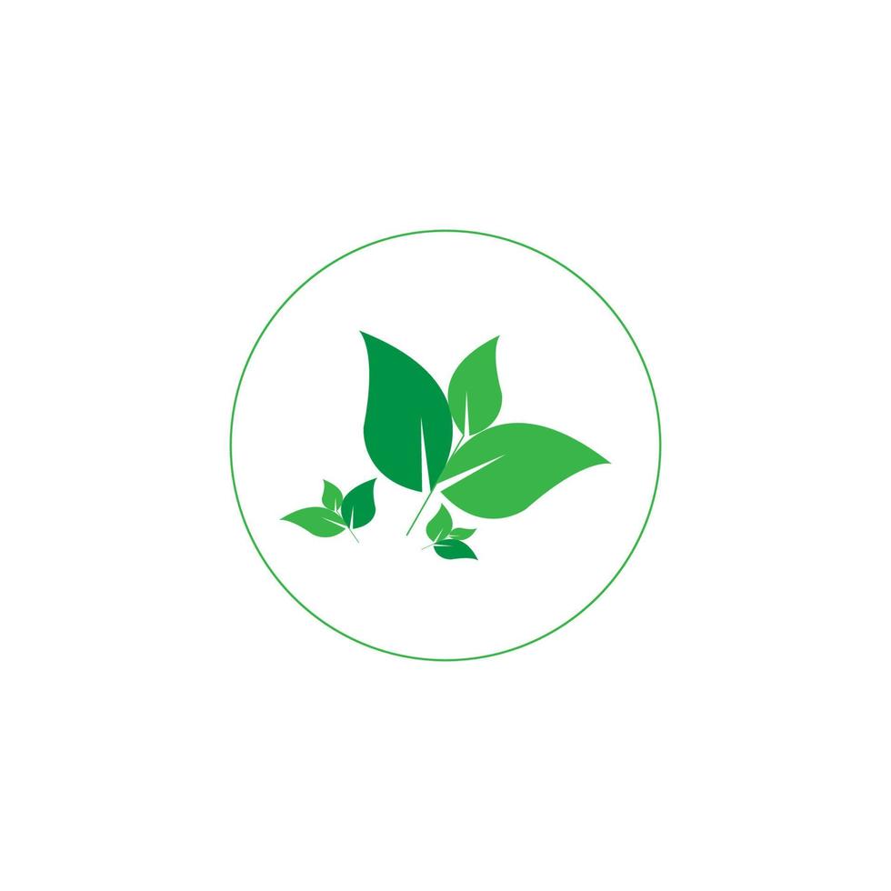green leaf icon image illustration vector design natural