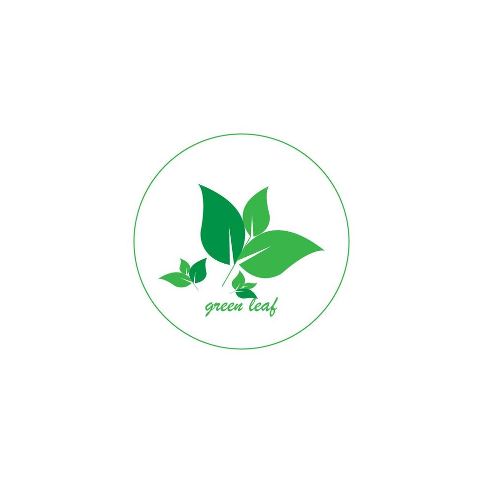 green leaf icon image illustration vector design natural
