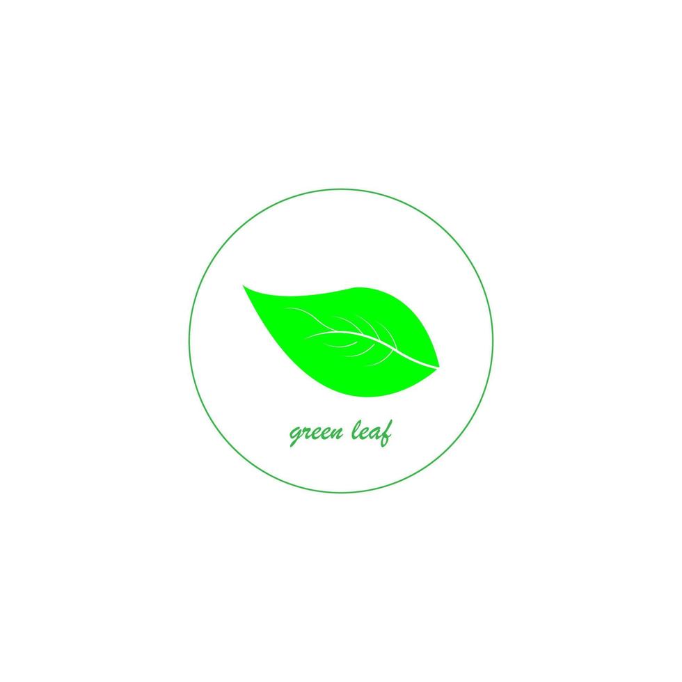 green leaf icon image illustration vector design natural