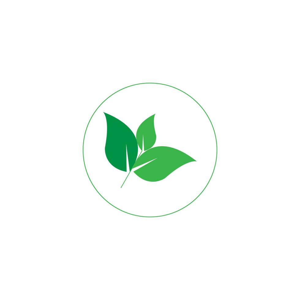 green leaf icon image illustration vector design natural