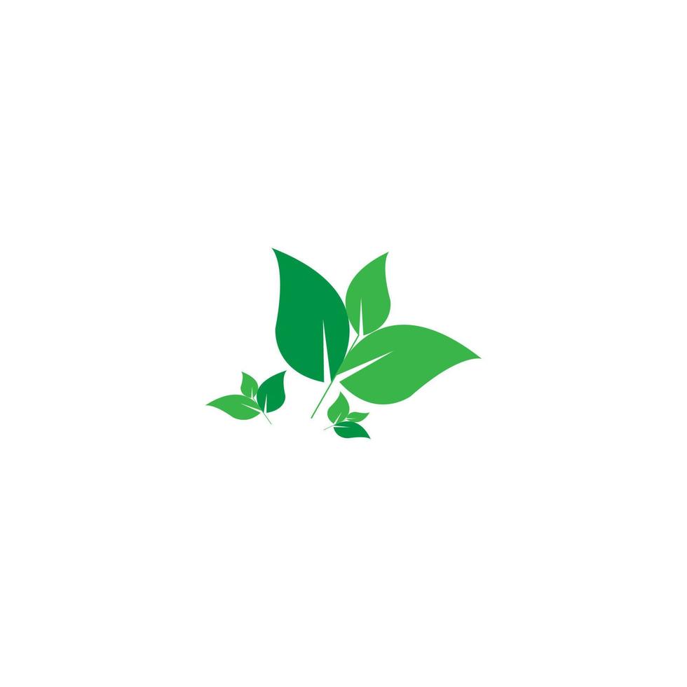 green leaf icon image illustration vector design natural