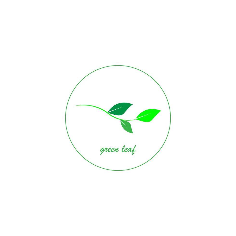 green leaf icon image illustration vector design natural