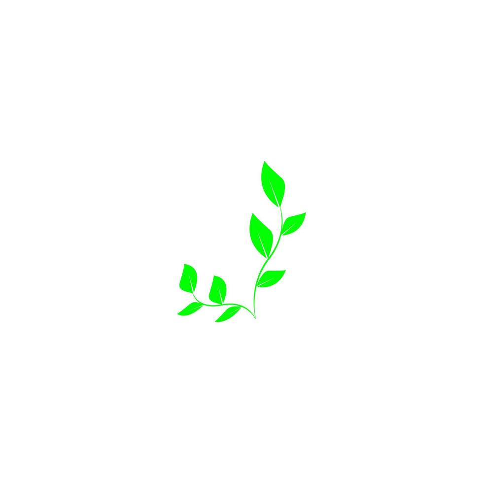 green leaf icon image illustration vector design natural