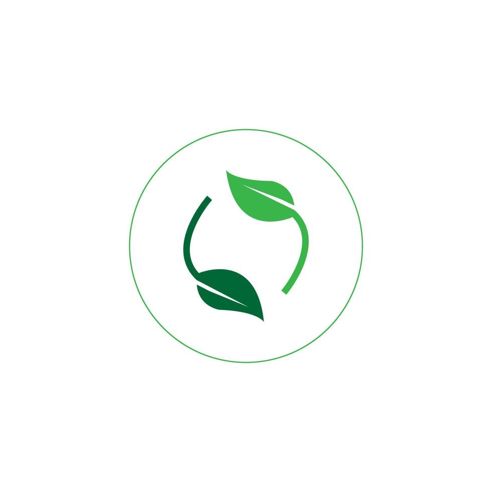 green leaf icon image illustration vector design natural