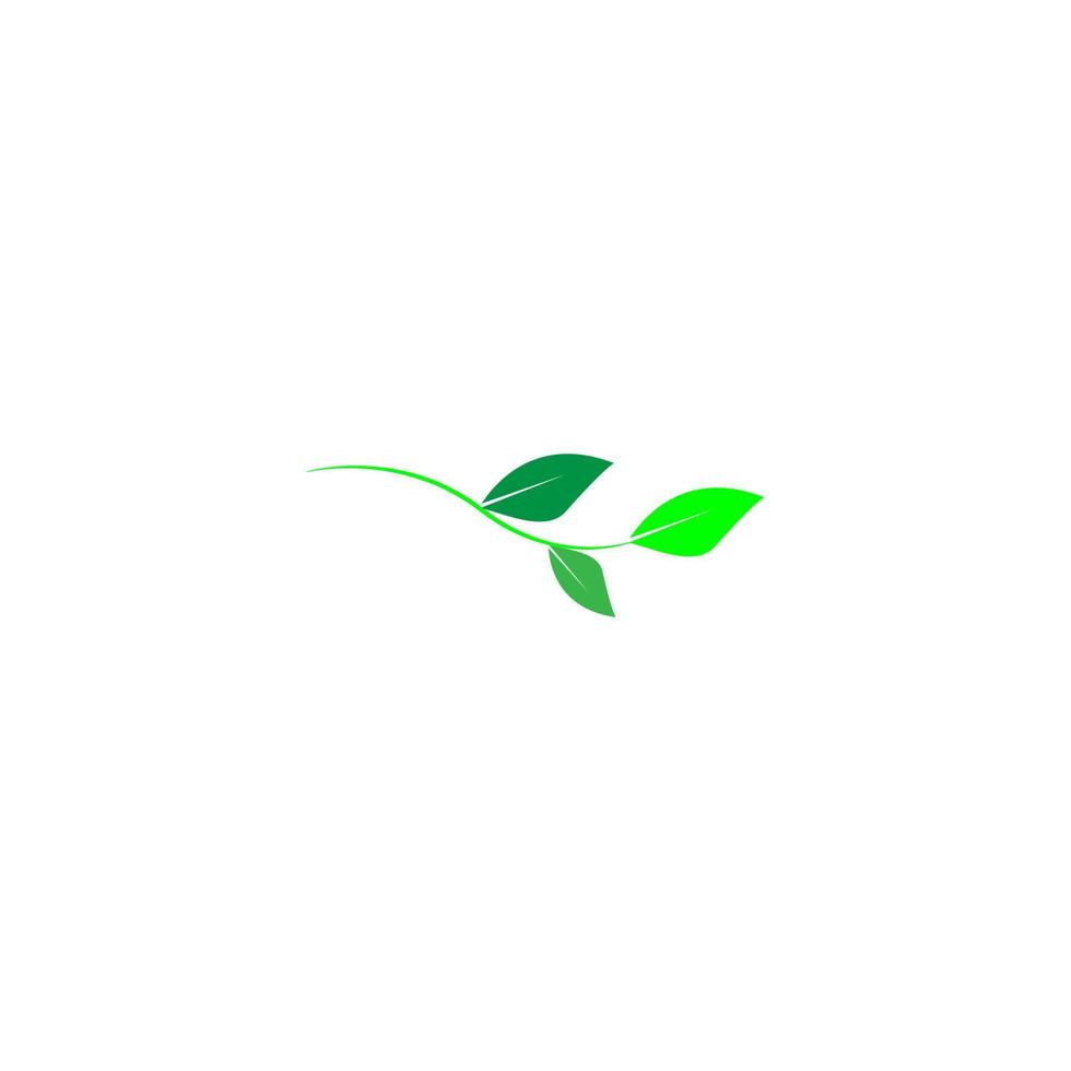 green leaf icon image illustration vector design natural