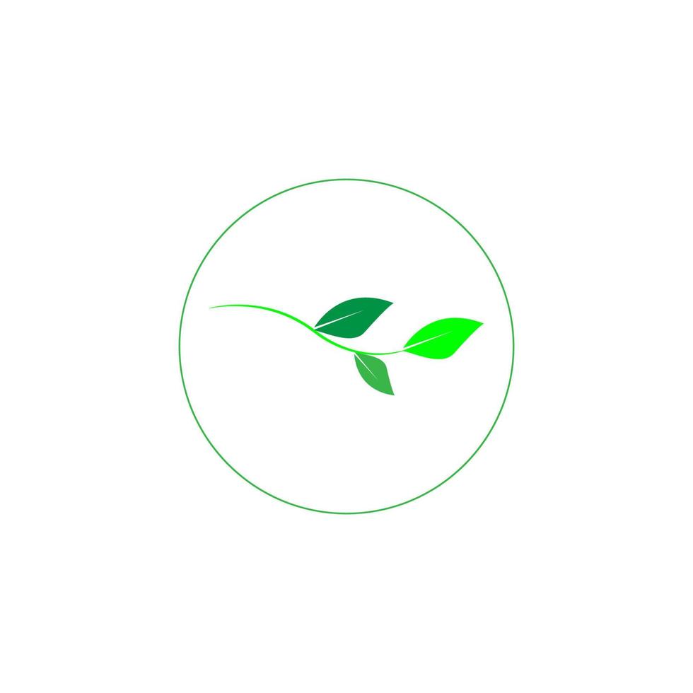 green leaf icon image illustration vector design natural