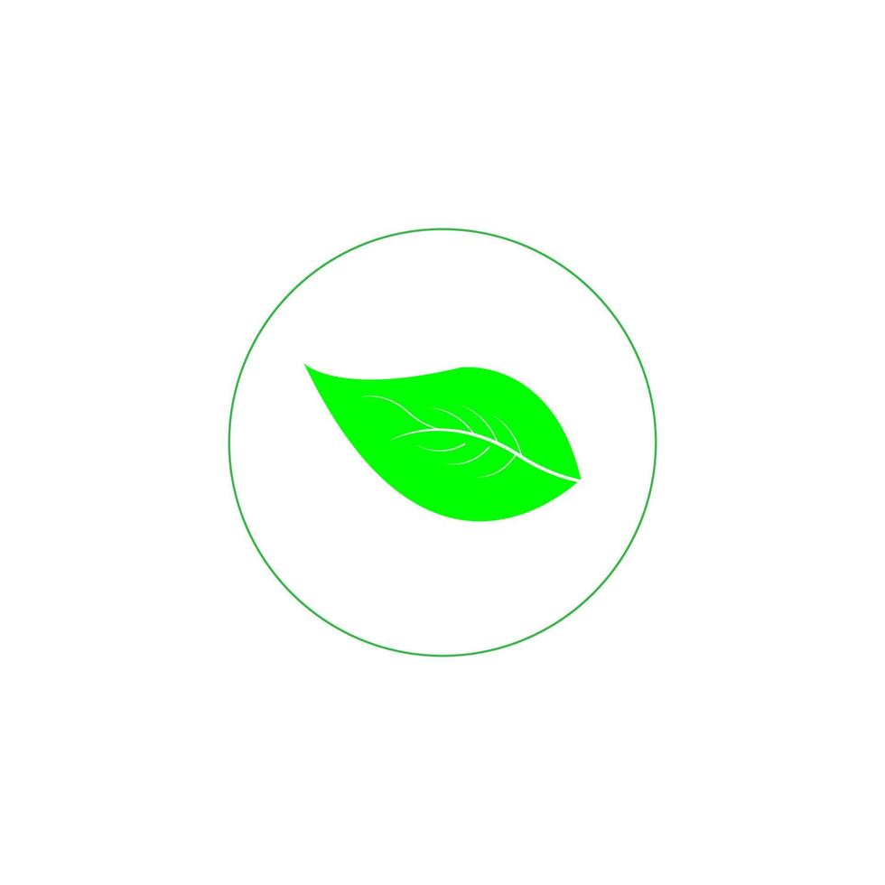 green leaf icon image illustration vector design natural