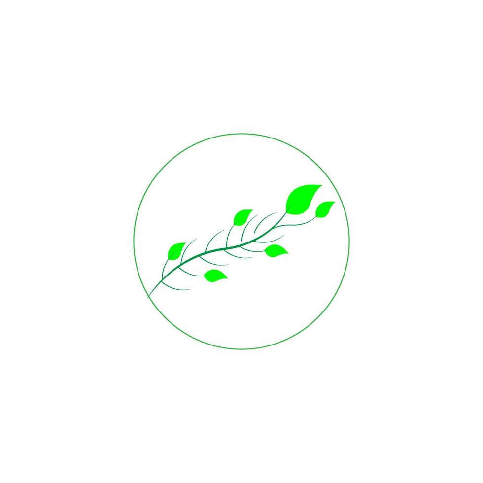 green leaf icon image illustration vector design natural