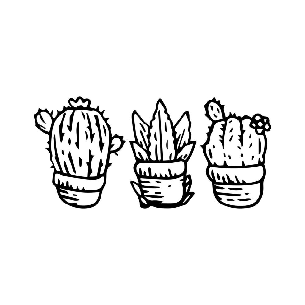 Cactus doodle set Vector illustration