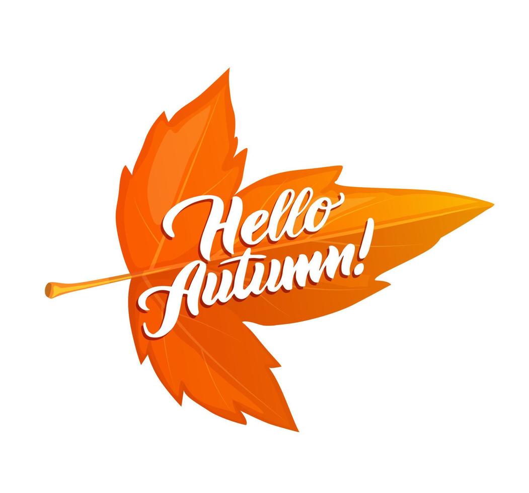 Hello Autumn poster with orange marple leaf vector