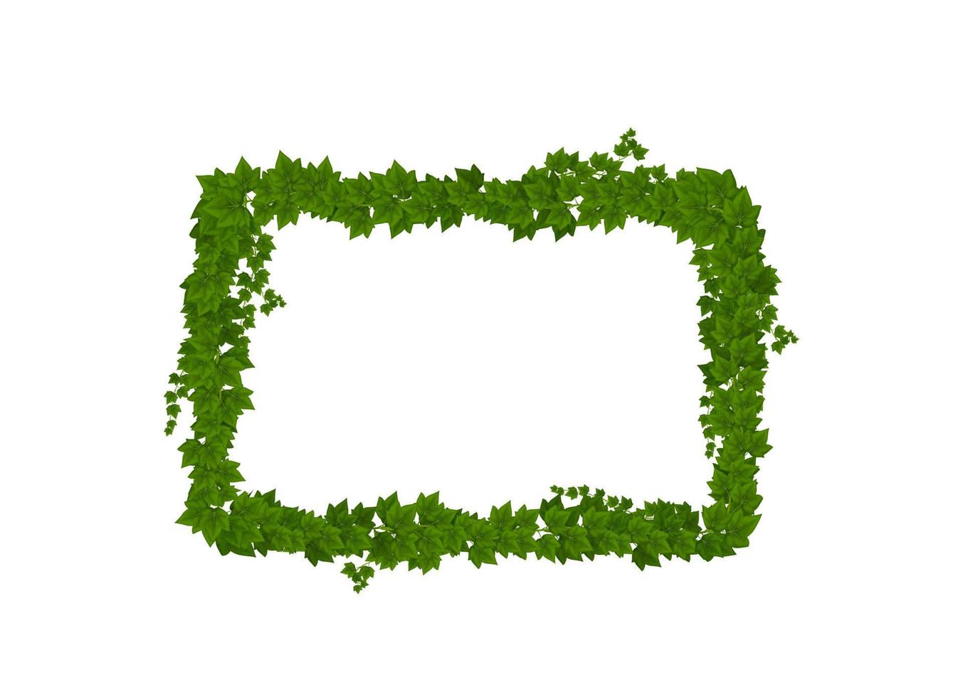Ivy green leaves and lianas frame, plant border vector