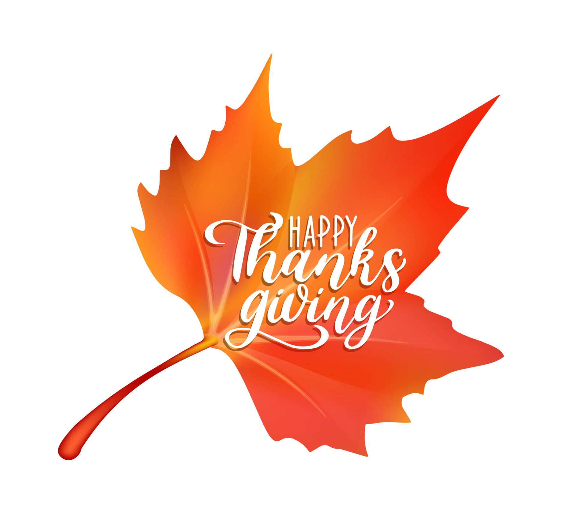 Happy Thanksgiving holiday with autumn maple leaf 13212657 Vector Art ...