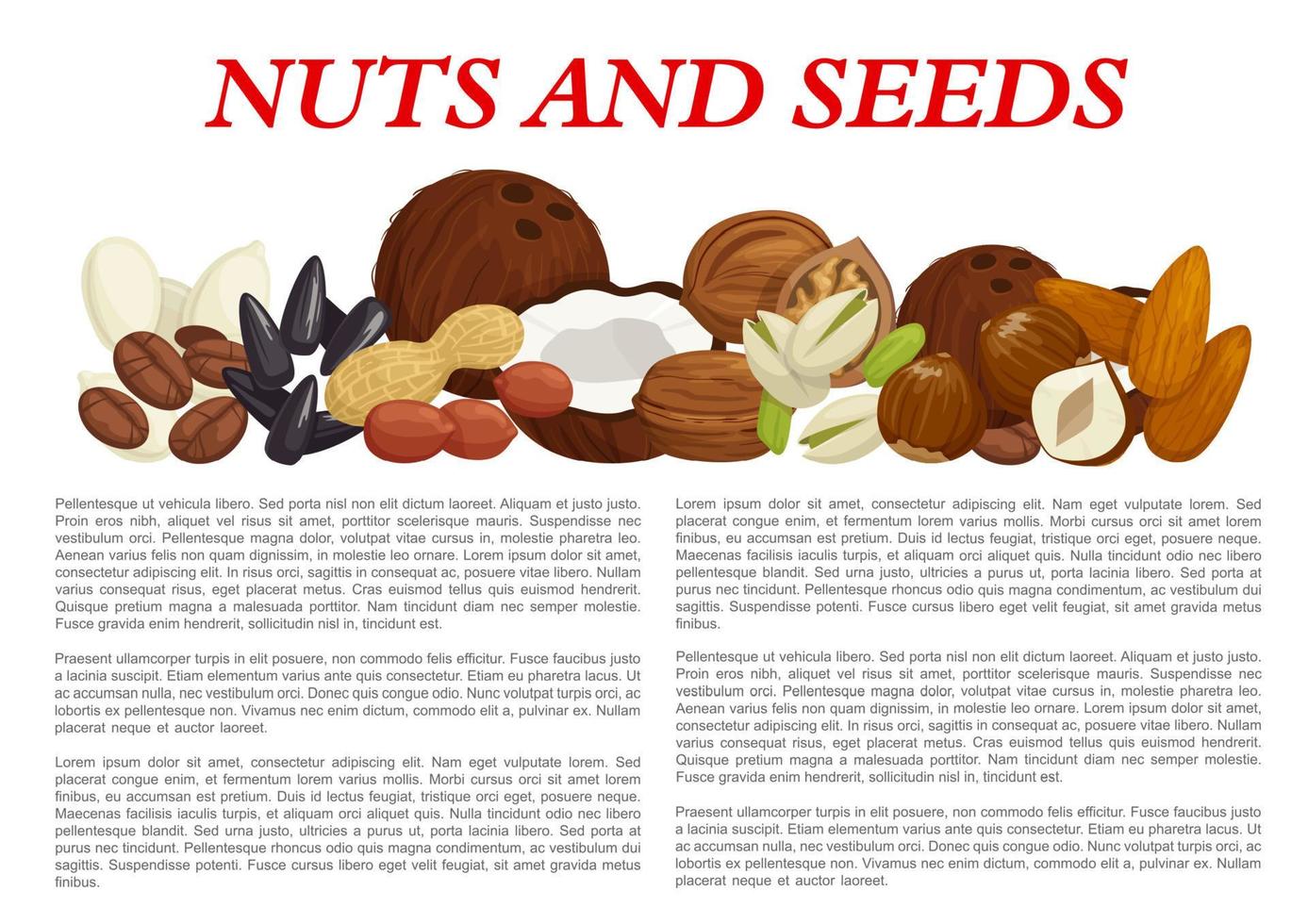 Vector nuts and fruit seeds nutrition poster