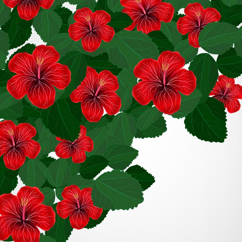 fondo de diseño floral tropical. vector