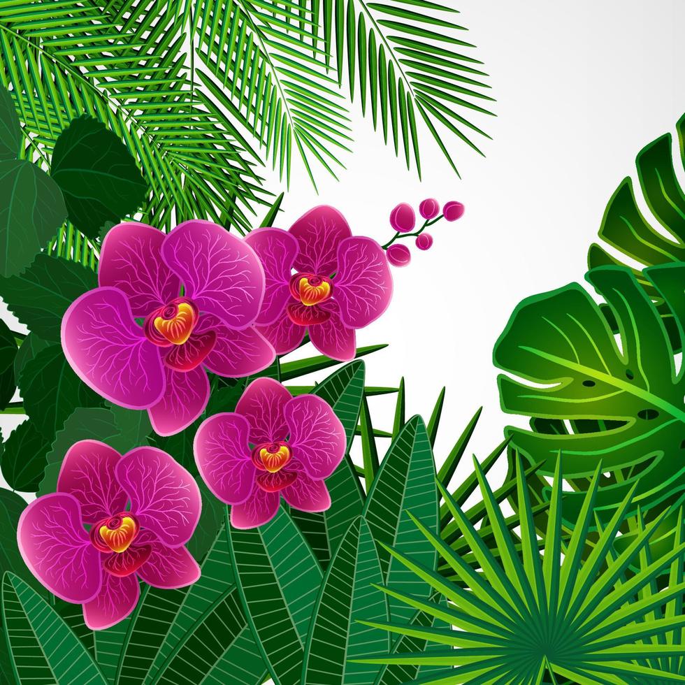 Floral design background. Orchid flowers. vector