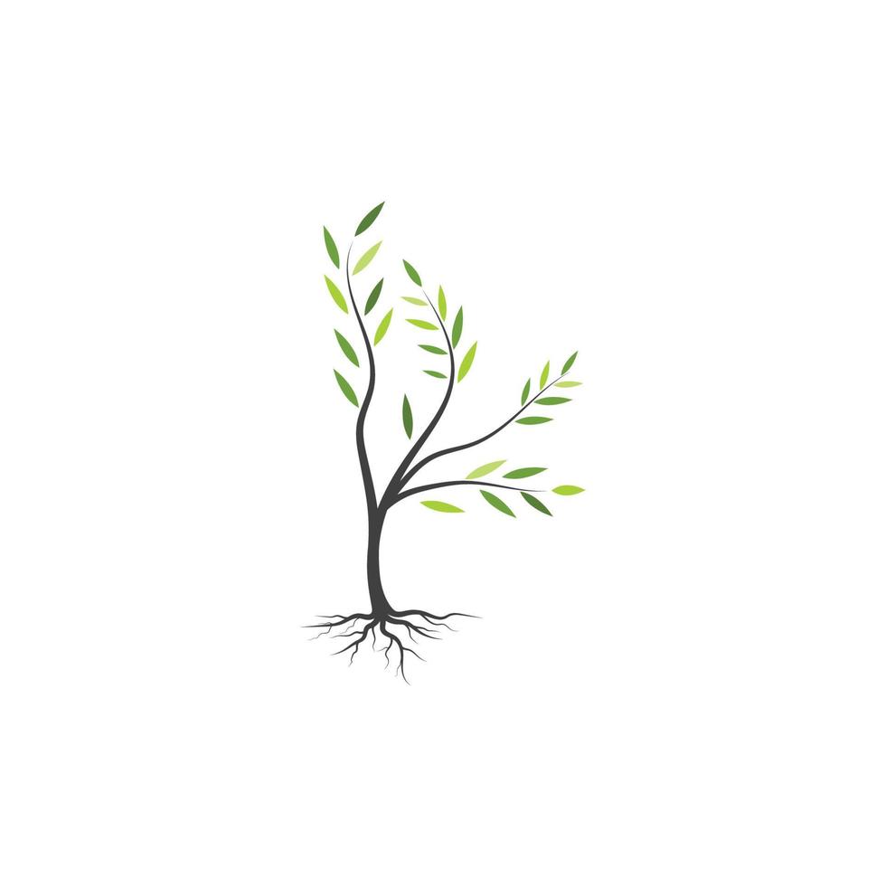 diseño de ilustración de vector de rama de árbol