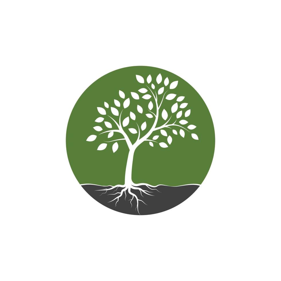 Tree branch vector ilustration design