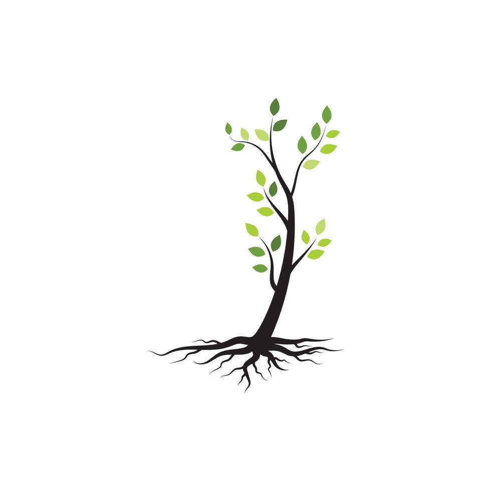 Tree branch vector ilustration design