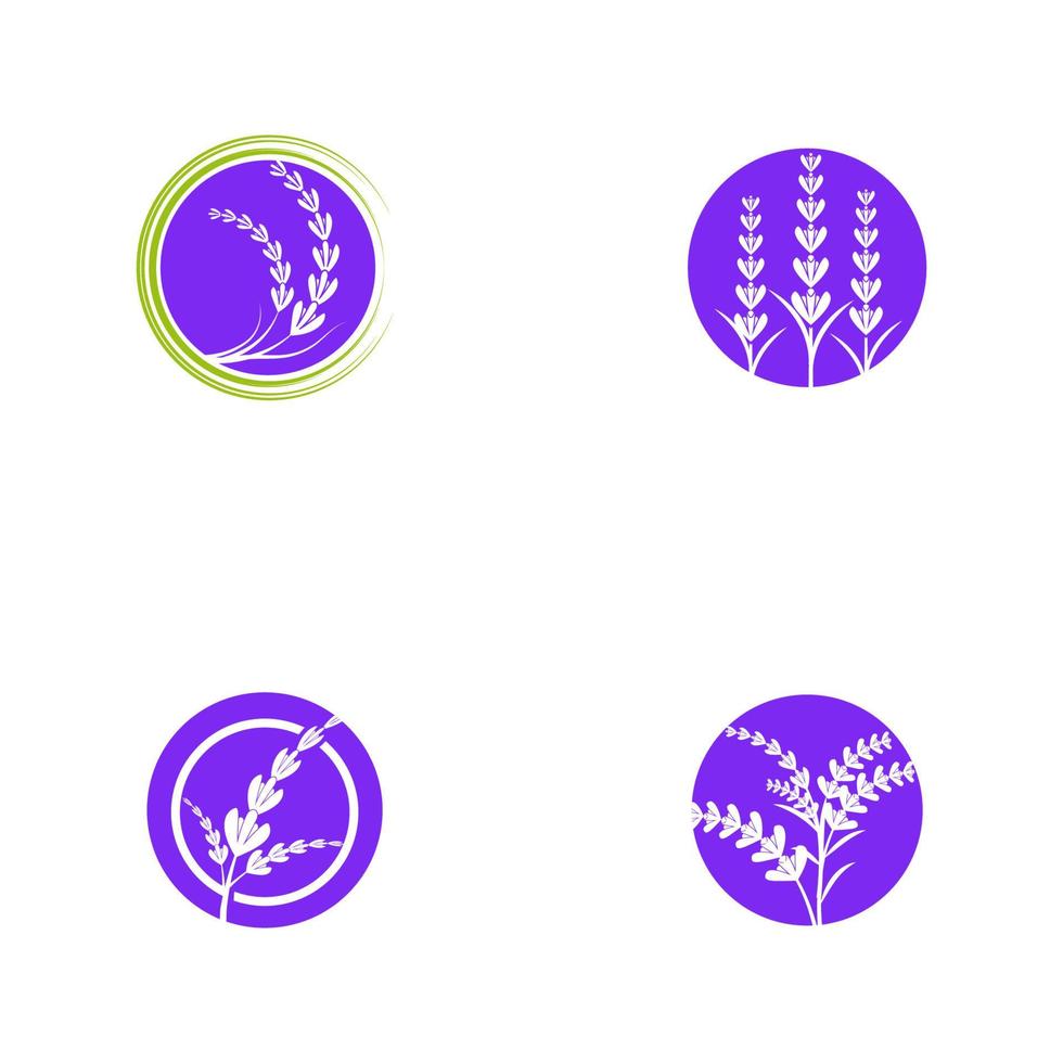 Lavender flower Vector icon illustration