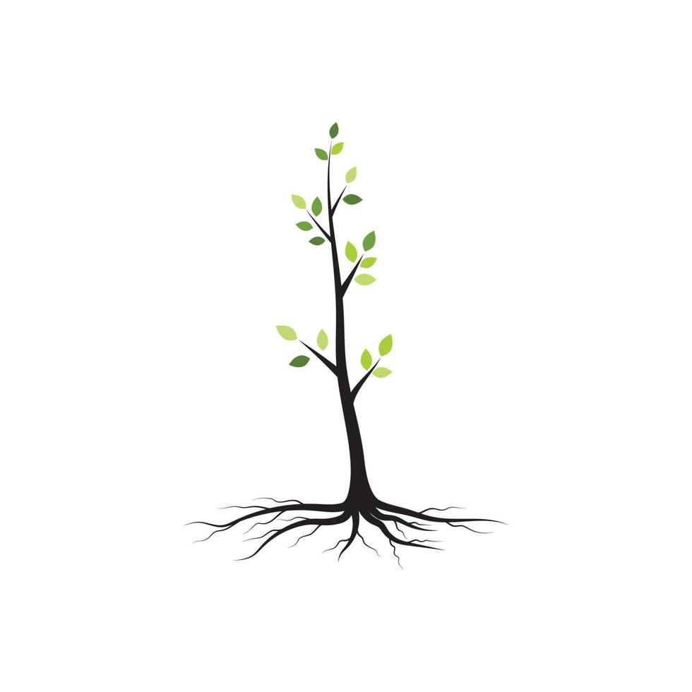 Tree branch vector ilustration design