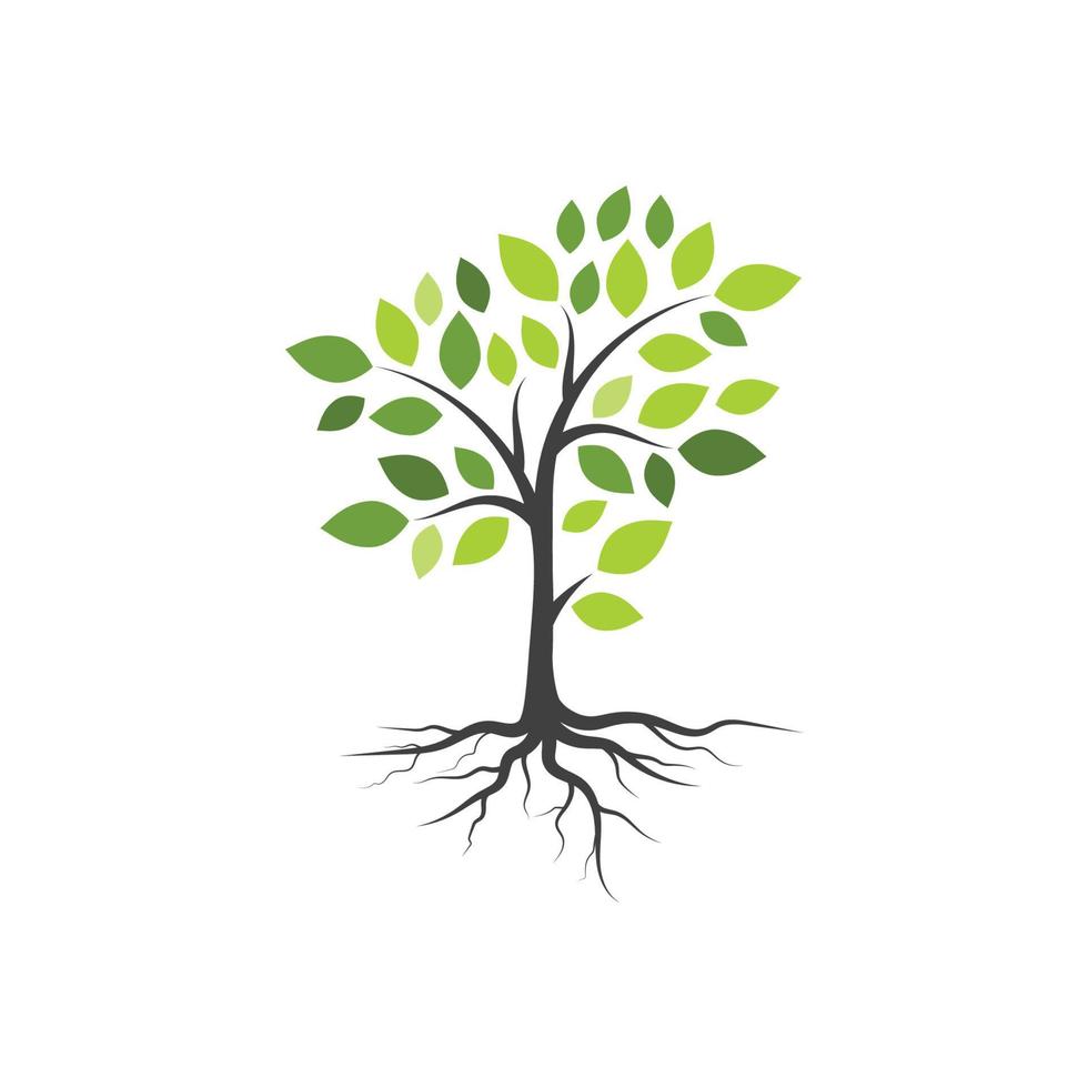 Tree branch vector ilustration design