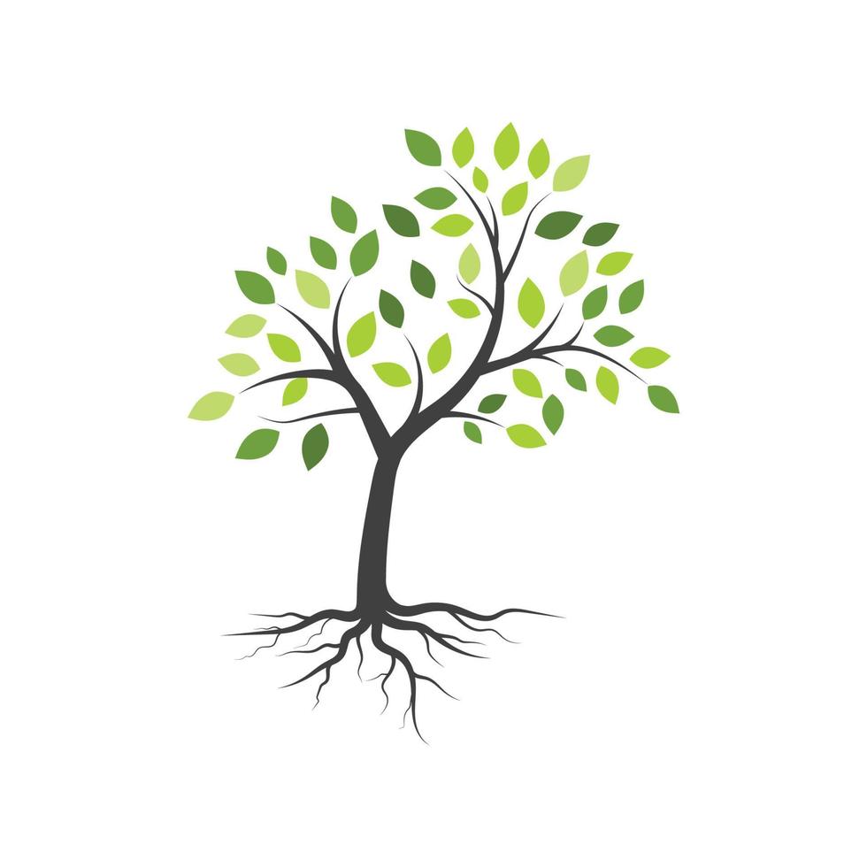 Tree branch vector ilustration design