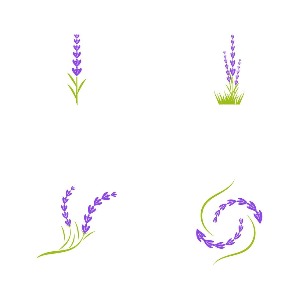 ilustración de icono de vector de flor de lavanda