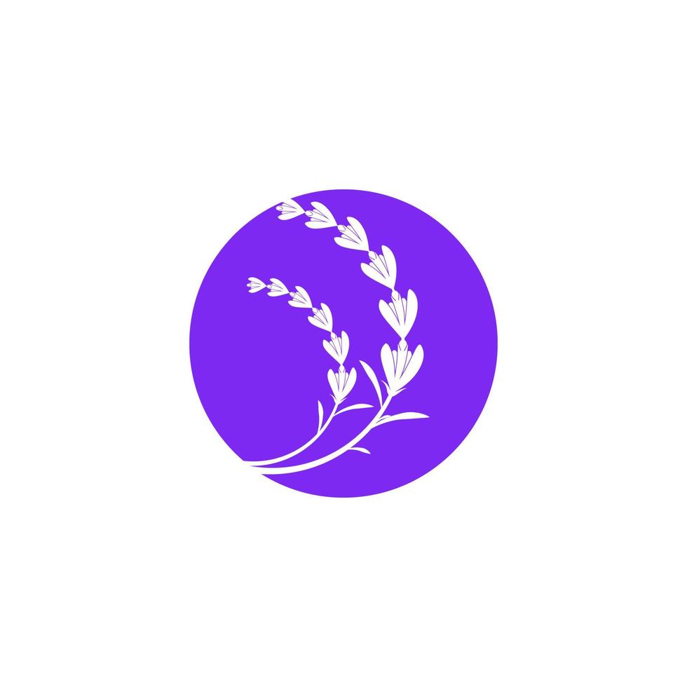 ilustración de icono de vector de flor de lavanda