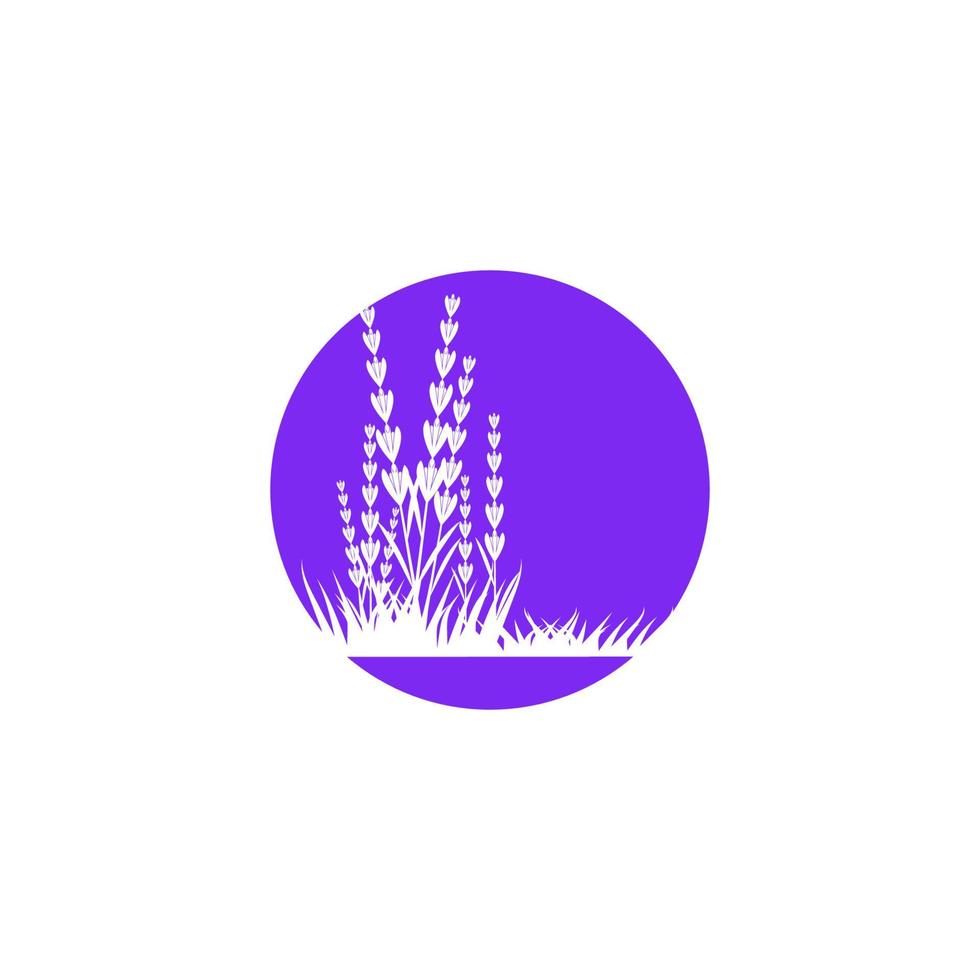 ilustración de icono de vector de flor de lavanda