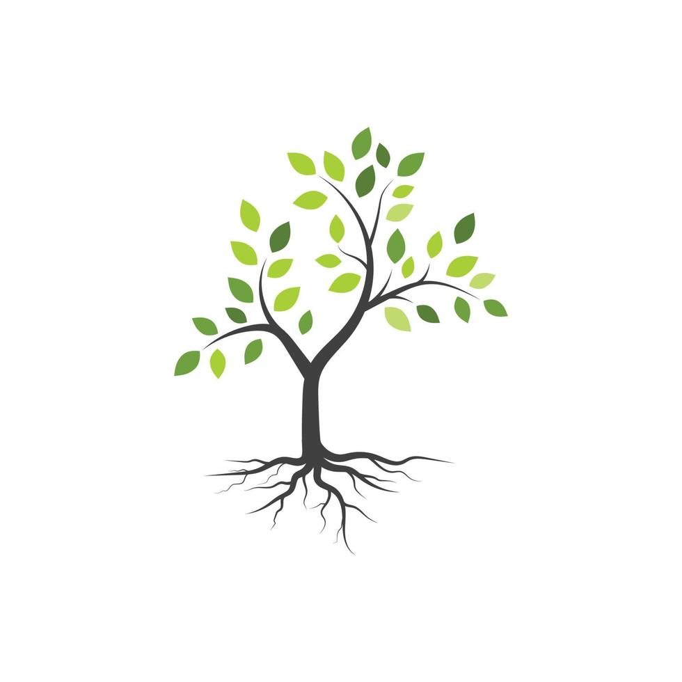 Tree branch vector ilustration design