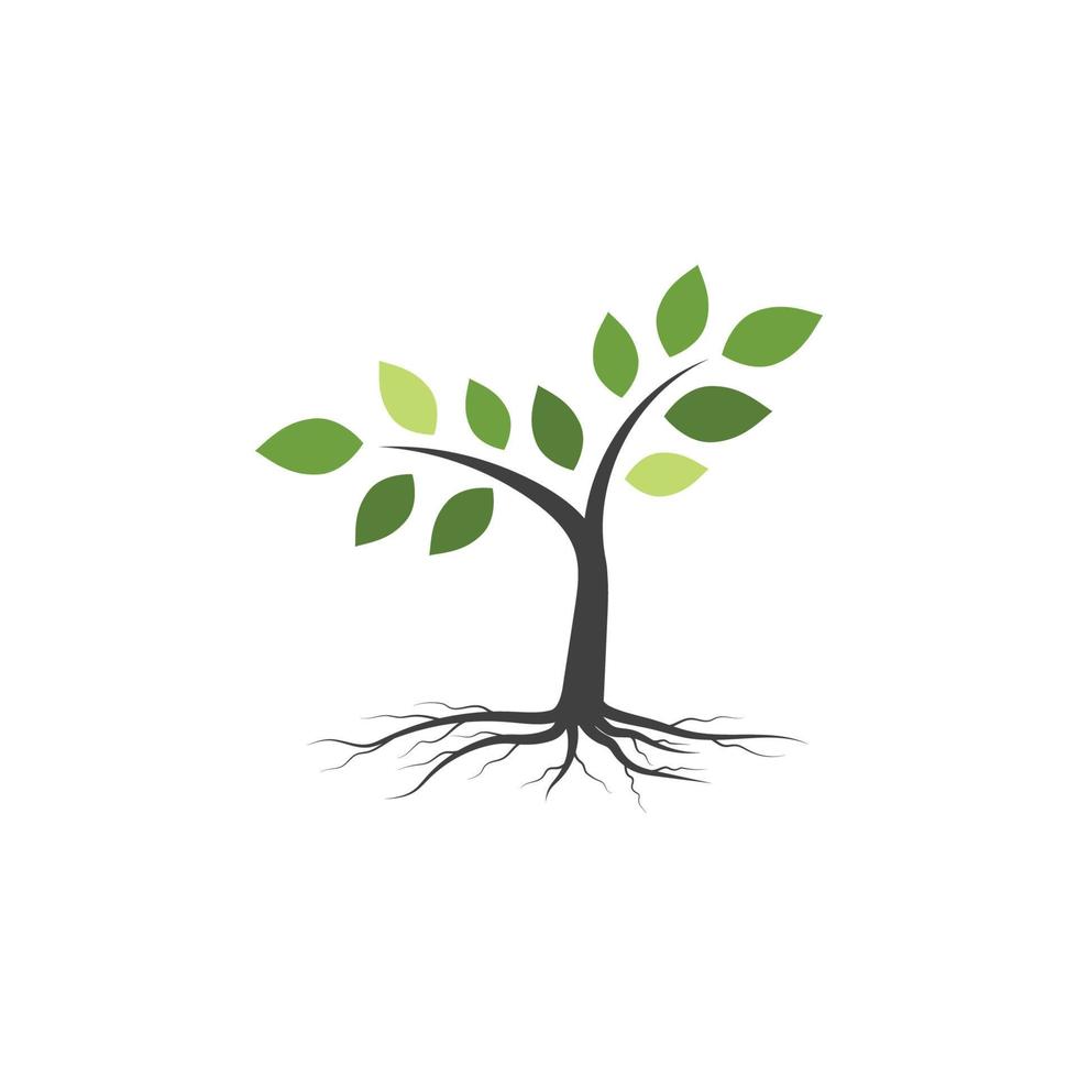 Tree branch vector ilustration design