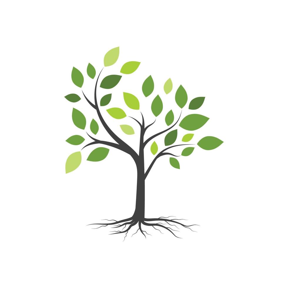 Tree branch vector ilustration design