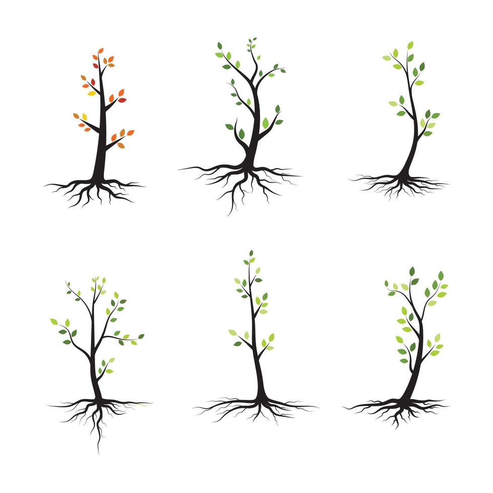 Tree branch vector ilustration design