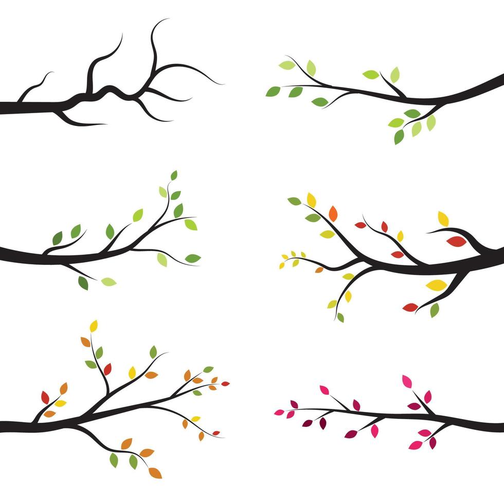 tree branch illustration design vector