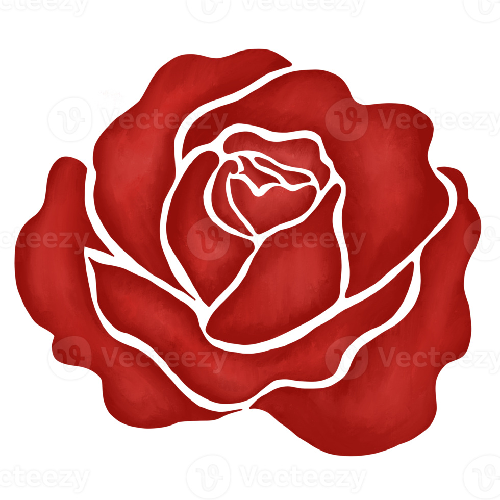 red rose flower drawing illustration png