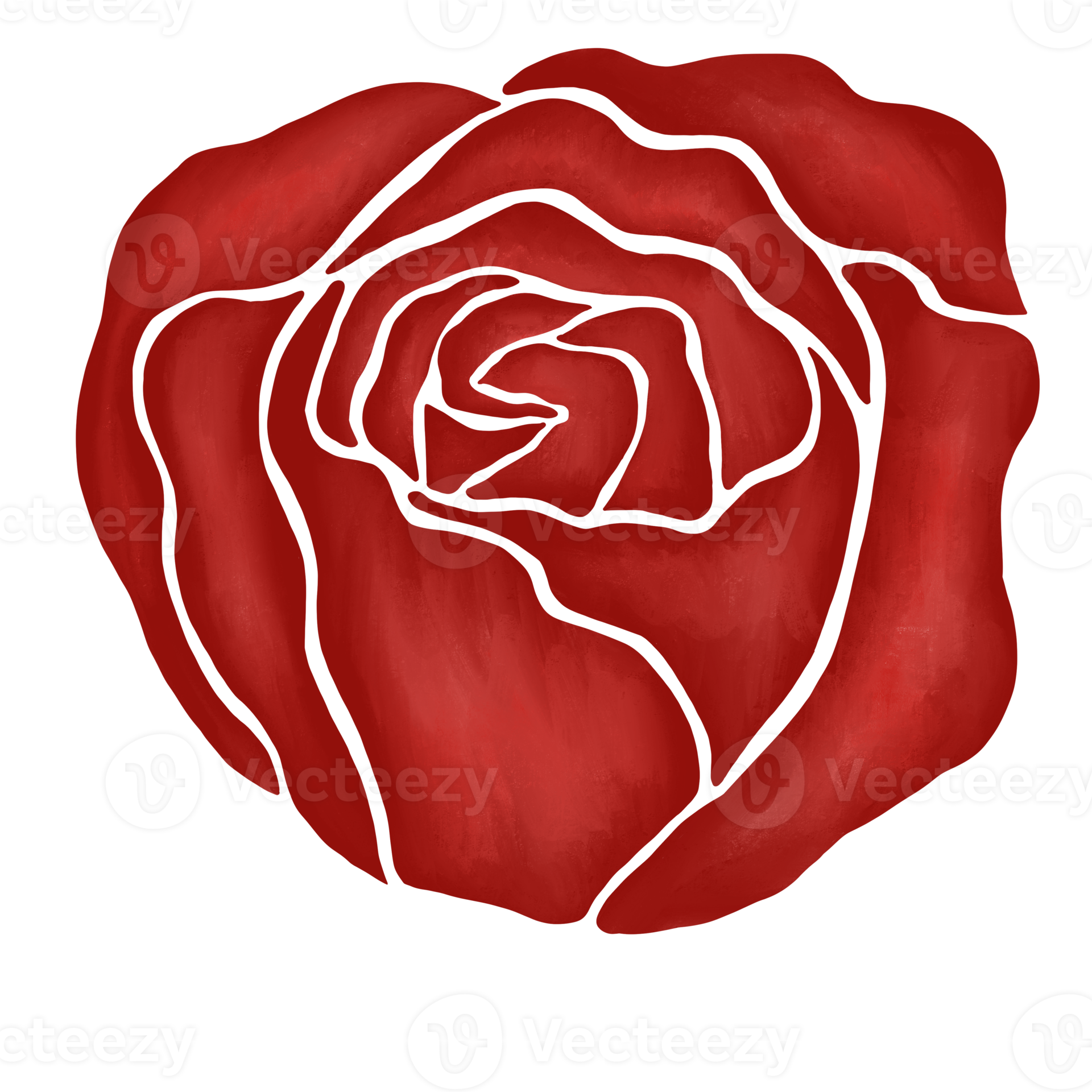 red rose flower drawing illustration 13213641 PNG