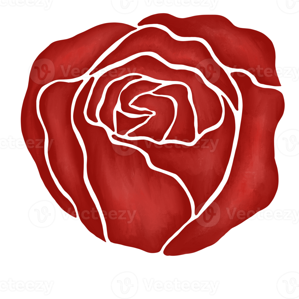 red rose flower drawing illustration png
