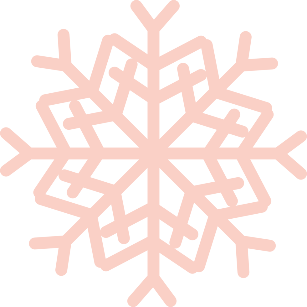 icono de copo de nieve claro. concepto de invierno, año nuevo y festival de navidad. png